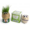 Tête Avec Graines De Gazon TETE EN HERBE Pousse Tête Avec Graines De Gazon TETE EN HERBE Pousse