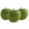 Pomme Publicitaire Avec Pâte Alimentaire POMME A CROQUER Club Med Pomme Publicitaire Avec Pâte Alimentaire POMME A CROQUER Club Med