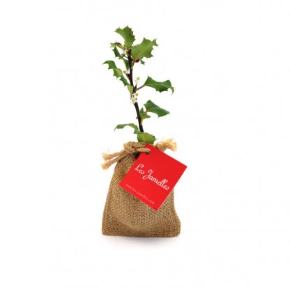 Mini Plant D'arbre Dans Pochon En Toile ARBRAPOCHE Marquage étiquette
