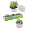 3 Kits De Plantation Dans Pots Promotionnels Avec Mini Serres
