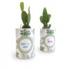Cactus Ou Plante Dans Boite De Conserve Publicitaire CANETTE A PLANTE