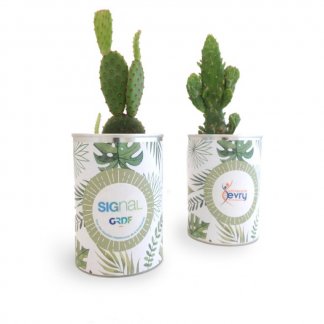 Cactus ou plante dans boite de conserve publicitaire - CANETTE A PLANTE