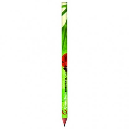 Crayon Graphite BiC Publicitaire En Plastique Recyclé Quadri Vert BIC EVOLUTION