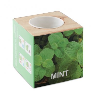 Kit De Plantation Dans Cube En Bois Personnalisée Etiquette MINT