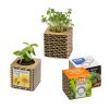 Kit De Plantation Dans Cube En Carton Promotionnel 2 Formats CUBE CARTON ONDULE