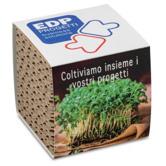 Kit de plantation dans cube en carton publicitaire - Dans fourreau - 2 formats - CUBE CARTON ONDULE