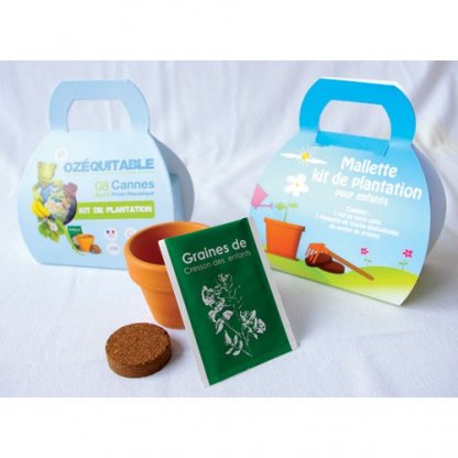 Kit De Plantation Dans Mallette Publicitaire En Carton Recyclé MALLETTE KID