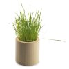 Kit De Plantation Personnalisable Dans Pot En Bois Rond Herbes POT ROND BOIS