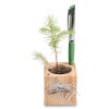 Kit De Plantation Personnalisé Dans Cube En Bois Avec Porte Stylos Avec Trombones CUBE BOIS DE BUREAU