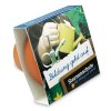 Kit De Plantation Personnalisé Dans Mini Pot En Terre Cuite Avec Fourreau Chapeau Avec Marquage Fourreau Kit De Plantation Personnalisé Dans Mini Pot En Terre Cuite Avec Fourreau Chapeau Avec Marquage Fourreau