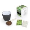 Kit De Plantation Personnalisé Dans Pot En Ardoise Tout APERO Kit De Plantation Personnalisé Dans Pot En Ardoise Tout APERO