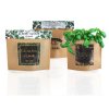 Kit De Plantation Promotionnel Dans Enveloppe Kraft Famille POP UP