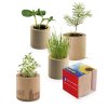 Kit De Plantation Promotionnel Dans Pot En Bois Rond POT ROND BOIS