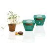Kit De Plantation Promotionnel Dans Pot En Paille De Riz Biodégradable Bleu JARDIN ECOLO Kit De Plantation Promotionnel Dans Pot En Paille De Riz Biodégradable Bleu JARDIN ECOLO