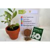 Kit De Plantation Publicitaire Avec Contenant De Récupération HERBIER LUDIQUE
