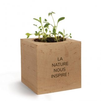 Kit de plantation publicitaire dans cube en bois - NATURACUBE
