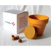 Kit De Plantation Publicitaire Dans Cube En Carton Recyclé 100mm CUBE DE PLANTATION Kit De Plantation Publicitaire Dans Cube En Carton Recyclé 100mm CUBE DE PLANTATION