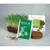 Kit De Plantation Publicitaire Dans Cube En Plastique Recyclé LE PETIT CUBE VERT Kit De Plantation Publicitaire Dans Cube En Plastique Recyclé LE PETIT CUBE VERT