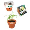 Kit De Plantation Publicitaire Dans Mini Pot En Terre Cuite Avec Fourreau Chapeau Kit De Plantation Publicitaire Dans Mini Pot En Terre Cuite Avec Fourreau Chapeau
