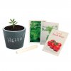 Kit De Plantation Publicitaire Dans Pot En Ardoise Ouvert APERO Kit De Plantation Publicitaire Dans Pot En Ardoise Ouvert APERO
