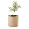 Kit De Plantation Publicitaire Dans Pot En Bois Rond Arbre POT ROND BOIS