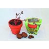Kit De Plantation Publicitaire Dans Pot En Terre Cuite Ø8cm KITTERRE Kit De Plantation Publicitaire Dans Pot En Terre Cuite Ø8cm KITTERRE