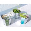 Kit De Plantation Publicitaire Dans Pot En Zinc Ø8cm ZINCGRAINES Kit De Plantation Publicitaire Dans Pot En Zinc Ø8cm ZINCGRAINES