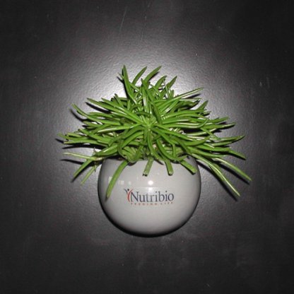 Mini Plante Dans Pot En Céramique Aimanté Publicitaire Avec Marquage CERAMANT