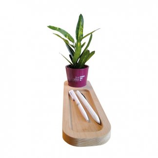 Mini plante dans pot et plateau en bois personnalisé - Marquage 1 couleur sur le pot - LE PLATEAU NATURE