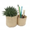 Mini Plante Et Duo De Pots En Toile De Jute Personnalisable PLANTENTOILE Mini Plante Et Duo De Pots En Toile De Jute Personnalisable PLANTENTOILE
