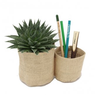 Mini plante et duo de pots en toile de jute personnalisable - PLANTENTOILE