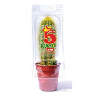Mini serre publicitaire pour cactus en bouteilles plastiques recyclées - PROTEC