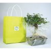 Option Sac En Papier Kraft Option Sac En Papier Kraft
