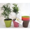 Plante Dans Pot En Bambou De Couleur Ø10cm PLANTE DECO