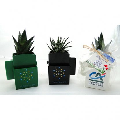 Plante Dépolluante Dans Pot Recyclé Publicitaire Spécial écran Ordinateur 3 Couleurs LA VEGETAL BOX