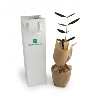 Plant D'arbre Dans Sac Biodégradable Avec Gaines Personnalisable A SEMER