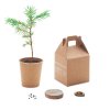Kit De Plantation Dans Gobelet En Carton GROWTREE KIT Kit De Plantation Dans Gobelet En Carton GROWTREE KIT