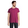 T Shirt Homme En Coton Bio 150g CRUSADER MEN T Shirt Violet De Face