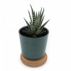 Plante Dépolluante Dans Pot En Bambou Avec Couvercle En Liège BAMBA Vert Plante Dépolluante Dans Pot En Bambou Avec Couvercle En Liège BAMBA Vert