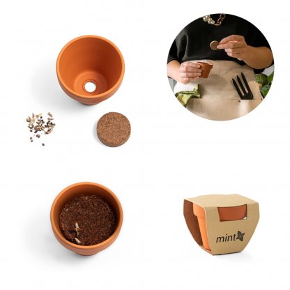Kit De Plantation Dans Pot En Terre Cuite GRENA