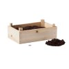 Kit De Culture De Fraises STRAWBERRY Compost
