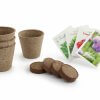 Box Jardinage Dans Carton Kraft JARDIBOX Dernière