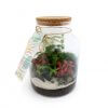 Terrarium Tropical Avec Plusieurs Dimensions TERRATROPIC