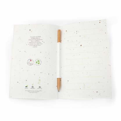 Carte De Voeux Papier Graines Et Crayon De Bois BIOVOEUX Ouvert à Plat Lignée
