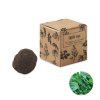 Kit De Plantation Dans Boite En Carton BOMBI Assaisonnements Kit De Plantation Dans Boite En Carton BOMBI Assaisonnements