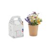Kit De Plantation Dans Gobelet En Carton FULLHOUSE Graines Sauvages