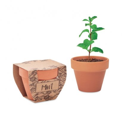 Kit De Plantation Dans Mini Pot En Terre Cuite Et Fourreau SUNFLOWER Menthe