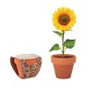 Kit De Plantation Dans Mini Pot En Terre Cuite Et Fourreau SUNFLOWER Tournesol