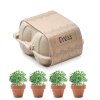 Kit De Plantation Dans Pot En Terre Cuite 4 Pots CRESS Présentation