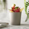 Gobelet En Bioplastique 200ml Exemple Condiments Gobelet En Bioplastique 200ml Exemple Condiments